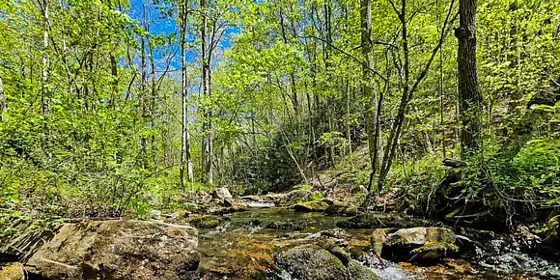 Virginia Land in Spring