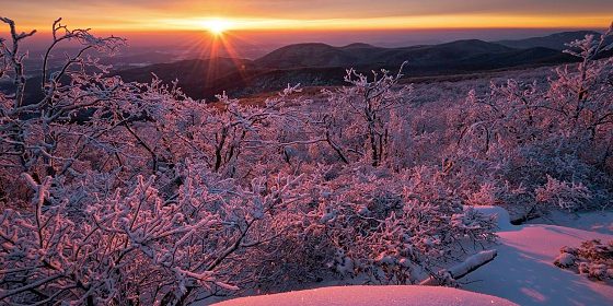 Virginia Land in Winter